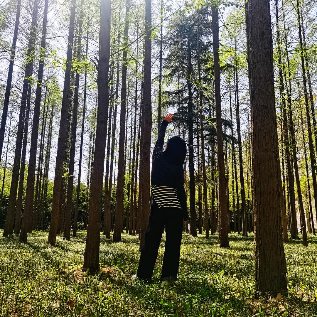 热爱🌱