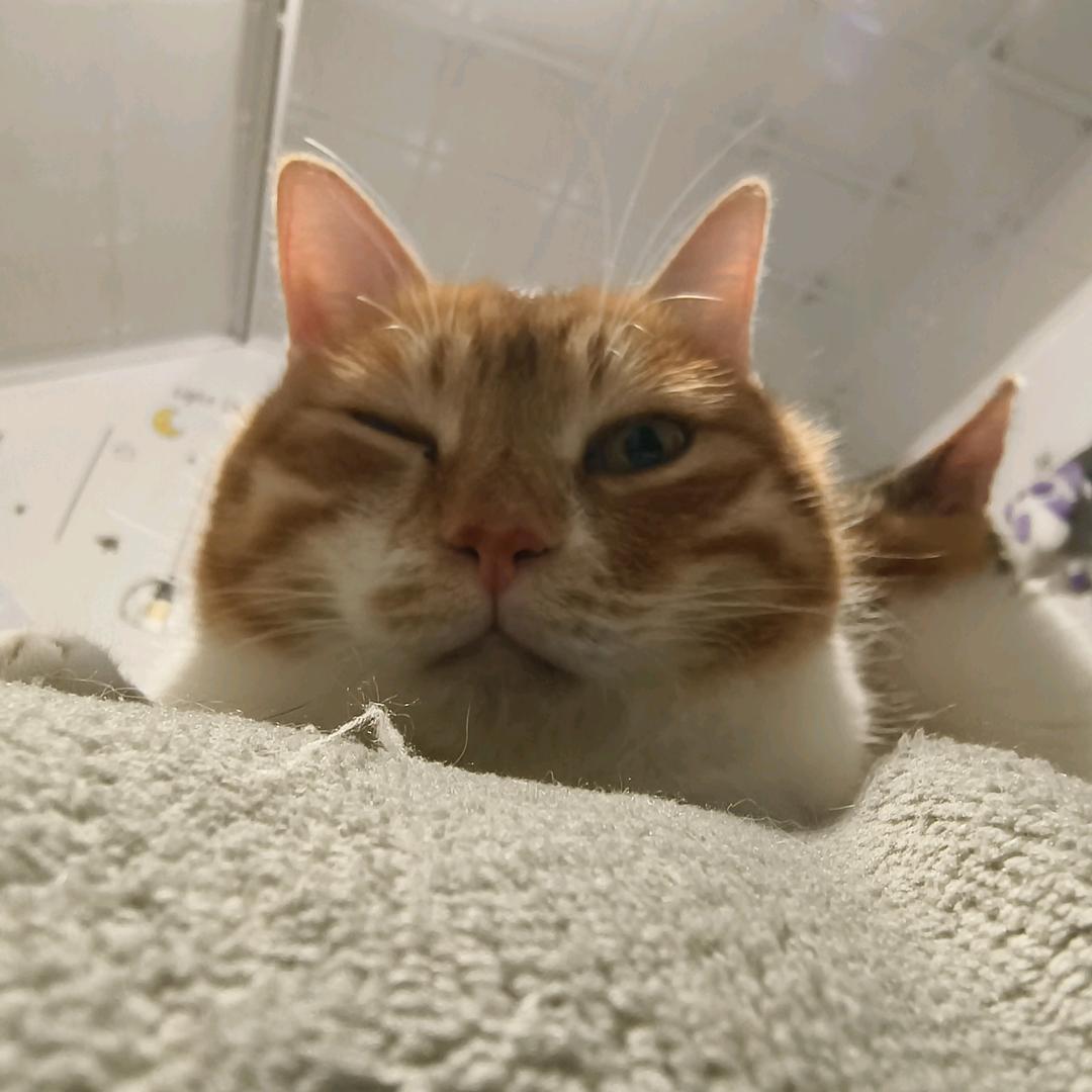 嘻嘻向绒毛绒玩具臻品店