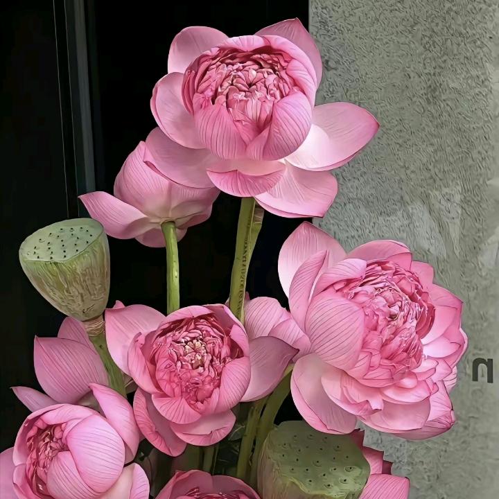 繁花似锦(罗）