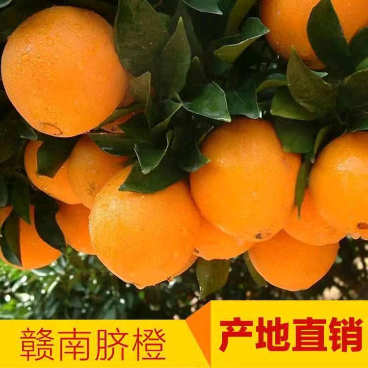 专业防水补漏，水沟，档墙