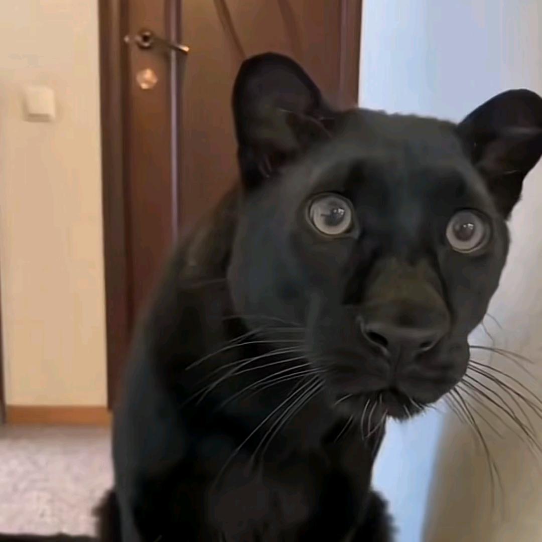 勿忘