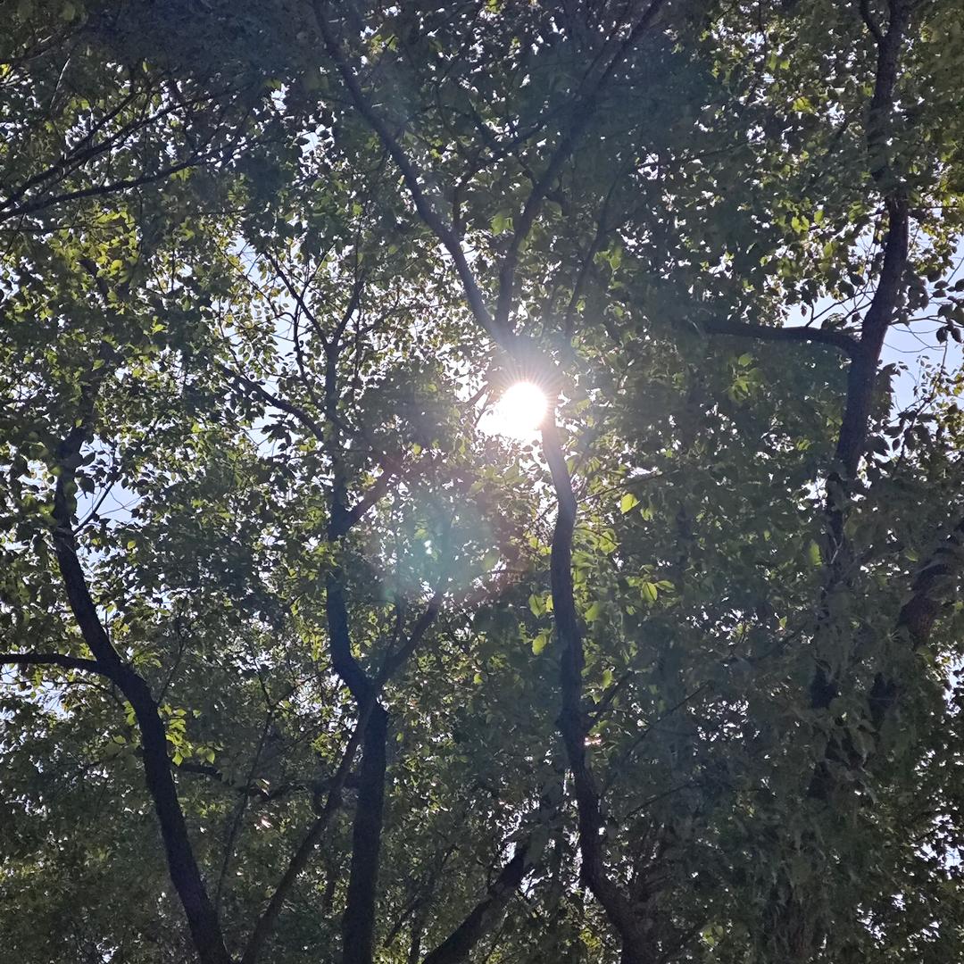 屿