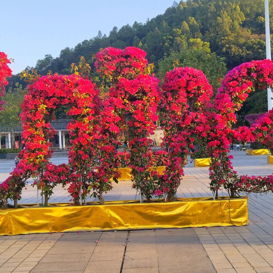 华