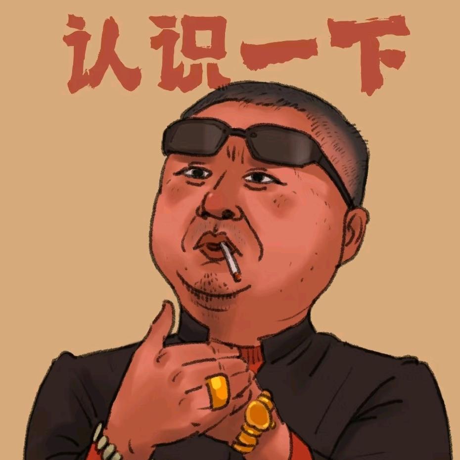 来自黑土地的阿雨-斗数