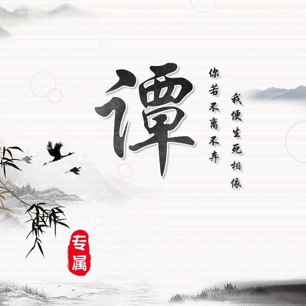 老谭