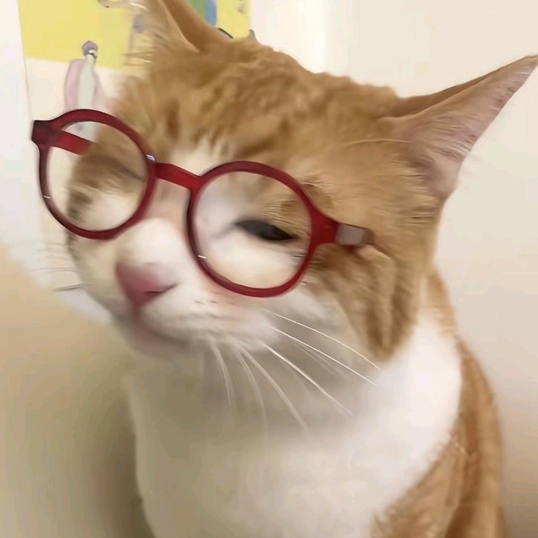 金咪kinmi头像