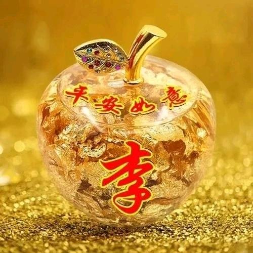 青春的记忆