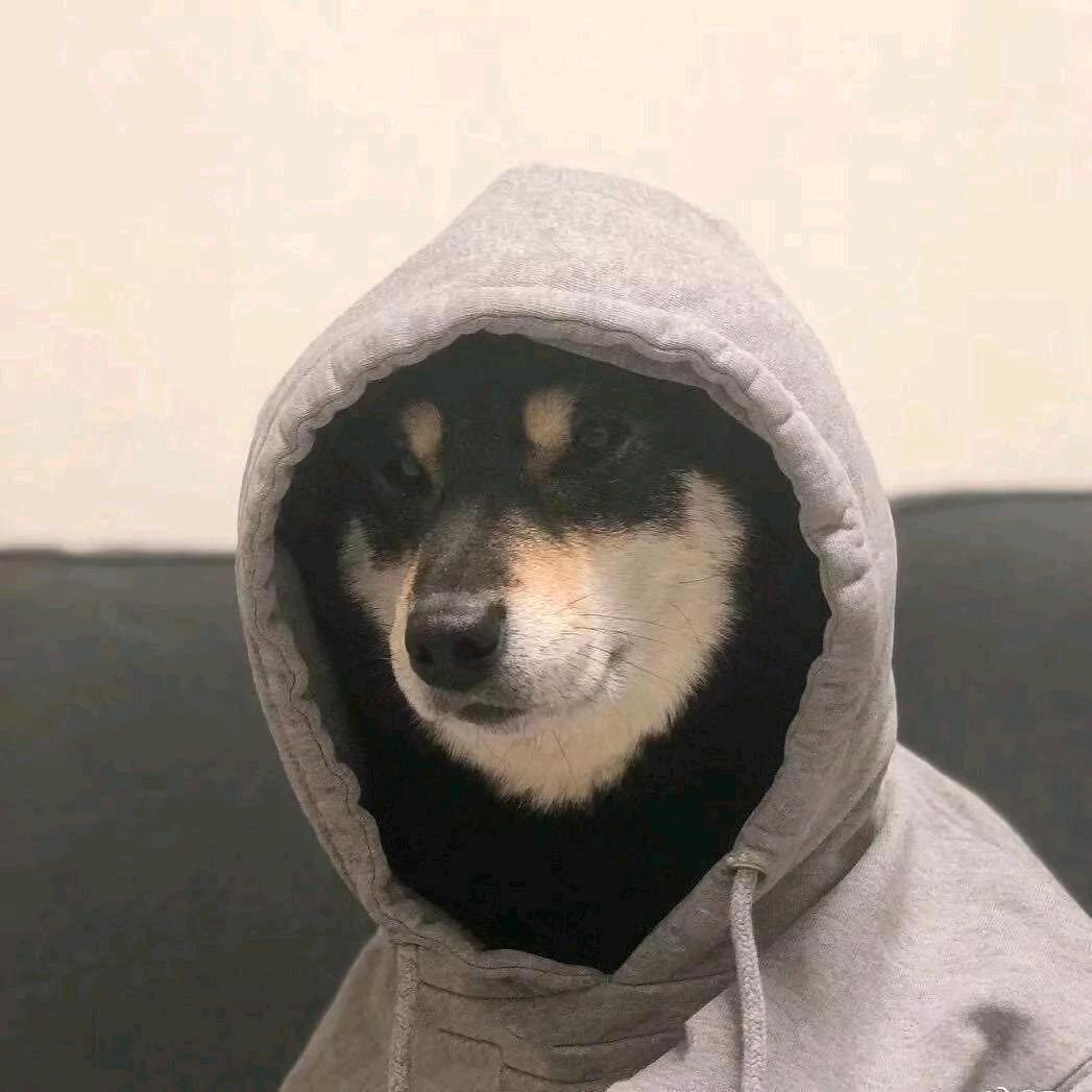 L。