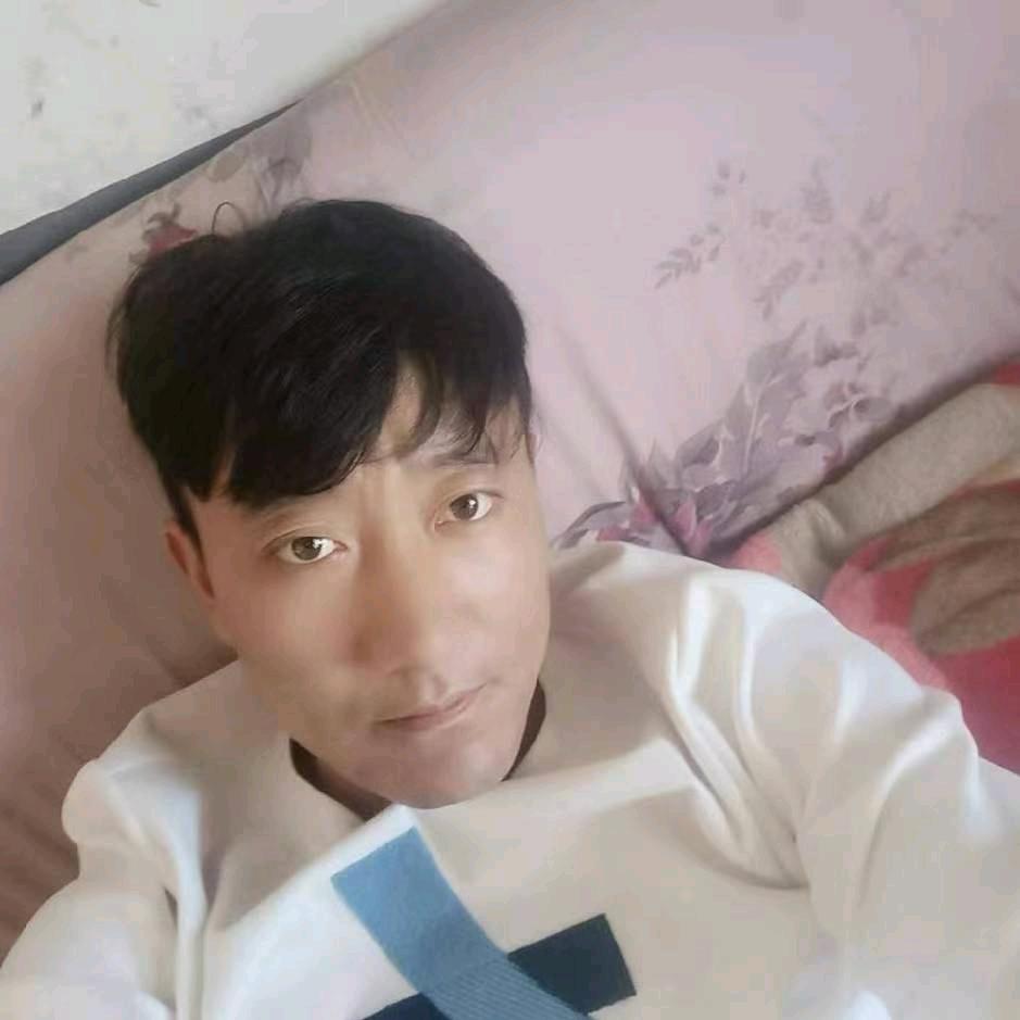 镇雄杨文