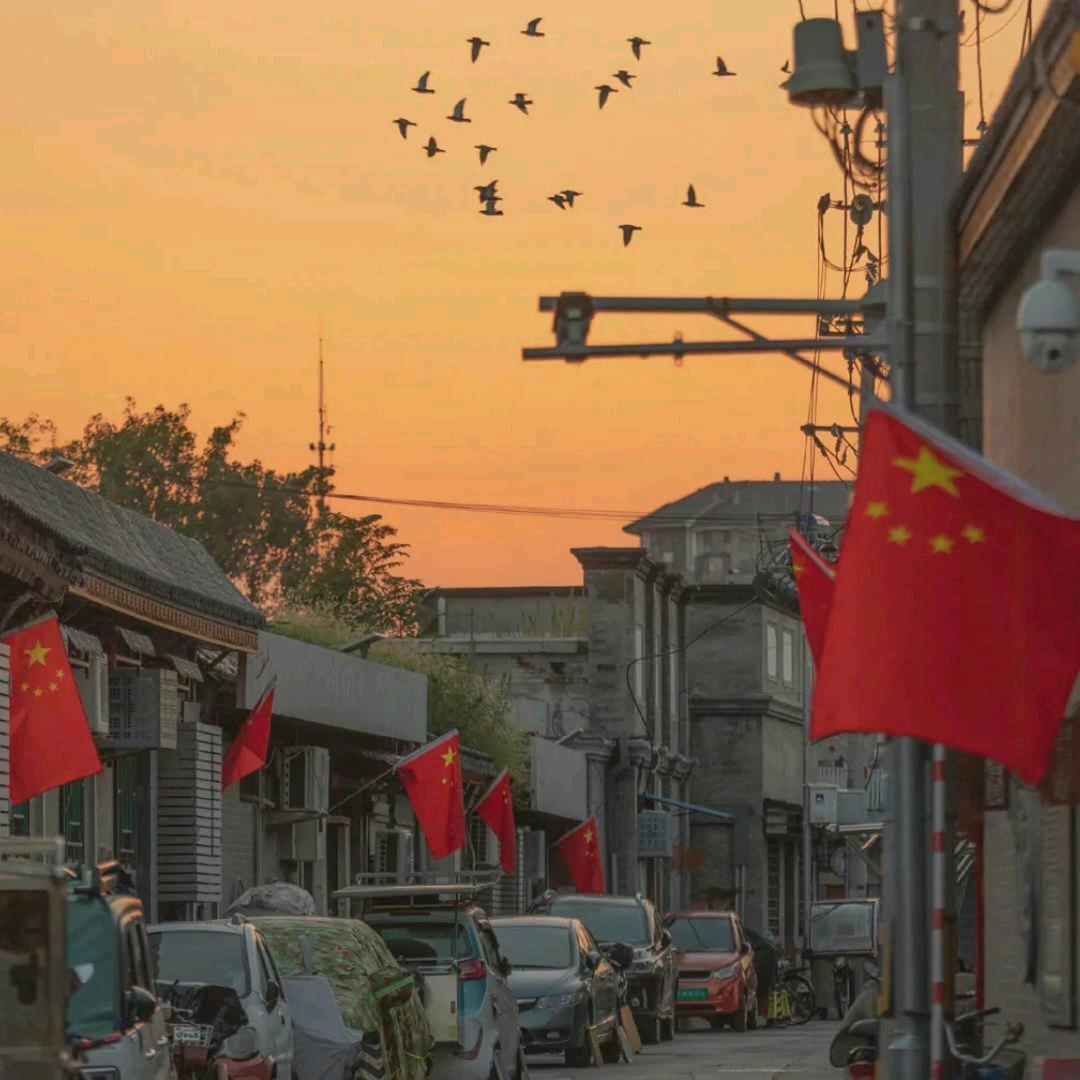 超级无敌暴肌大蟑螂