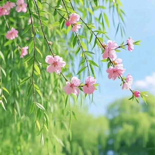 ჴര春华秋实രჴ