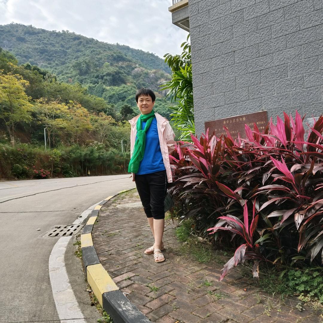 燕子在远方