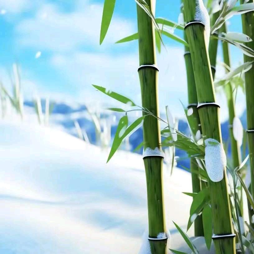 紫气东来……