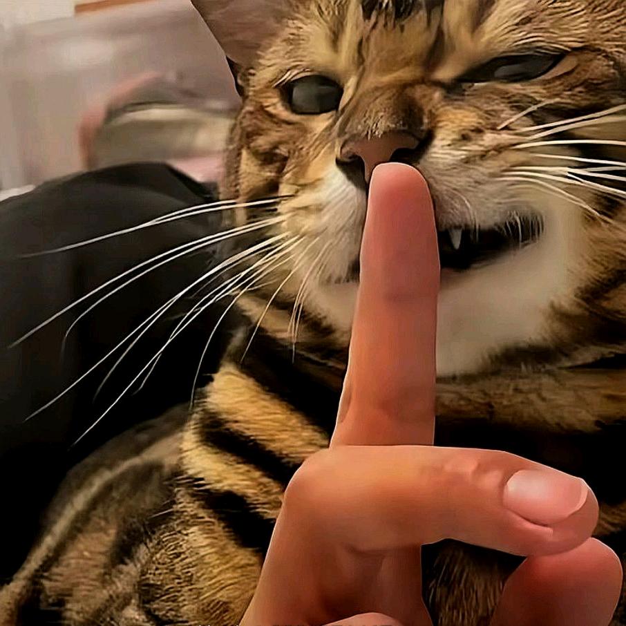 lsjdh