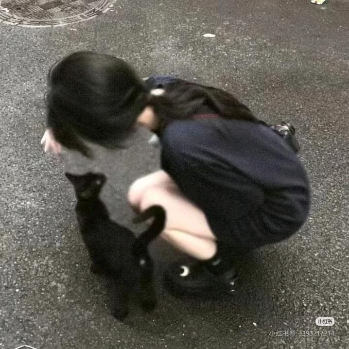 落屿ty在碎雨守望