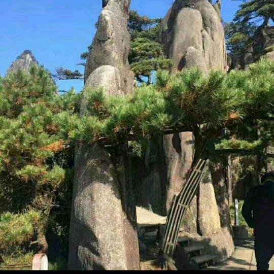 圣萨尔瓦