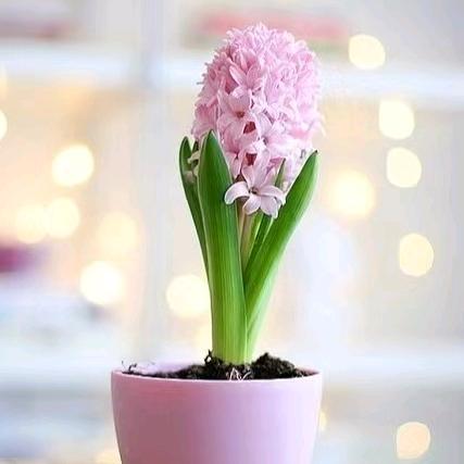 秋天的风67年的我(请亲友们不要连赞)