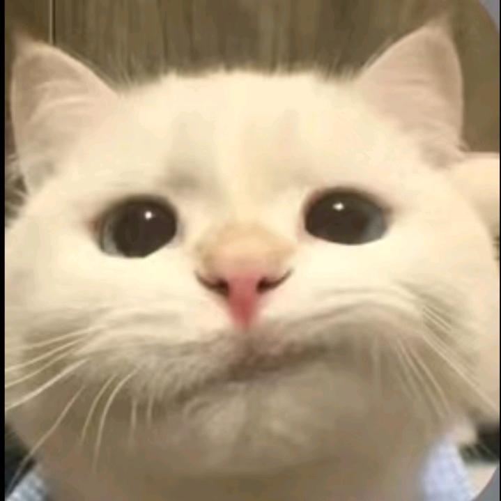 多多˙生产队的驴