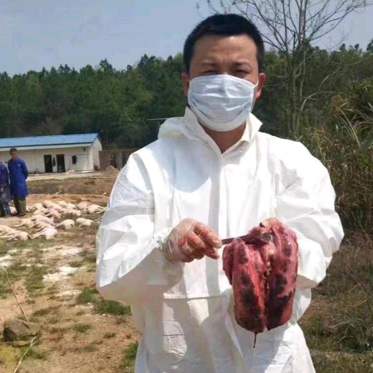 天下兽医