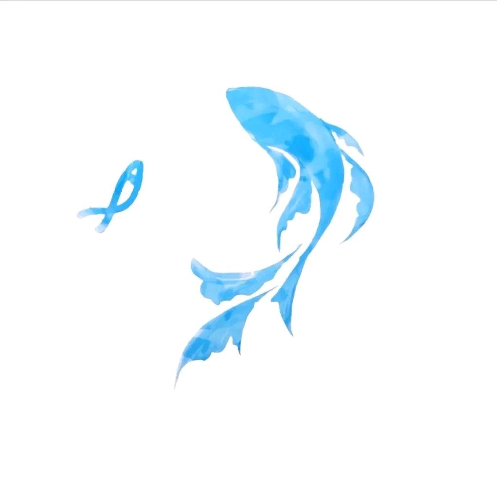 眉毛brow