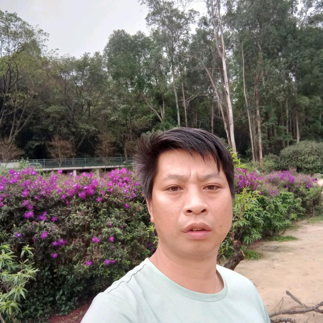 老司机，晚上，8.31.开播
