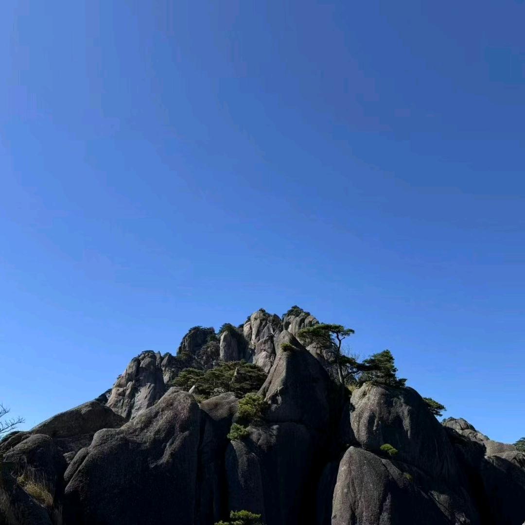 经济橱窗百货