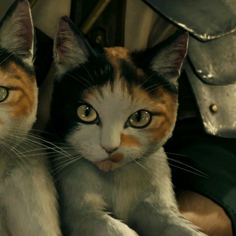 sequence.（to有偿版）