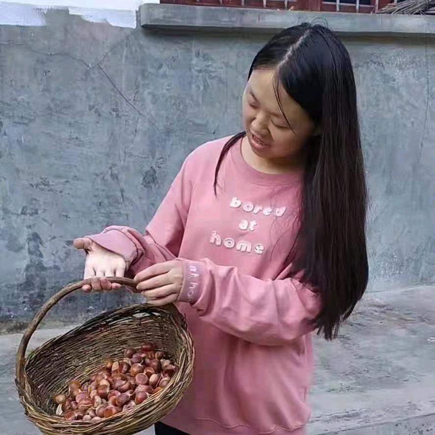 鱼儿