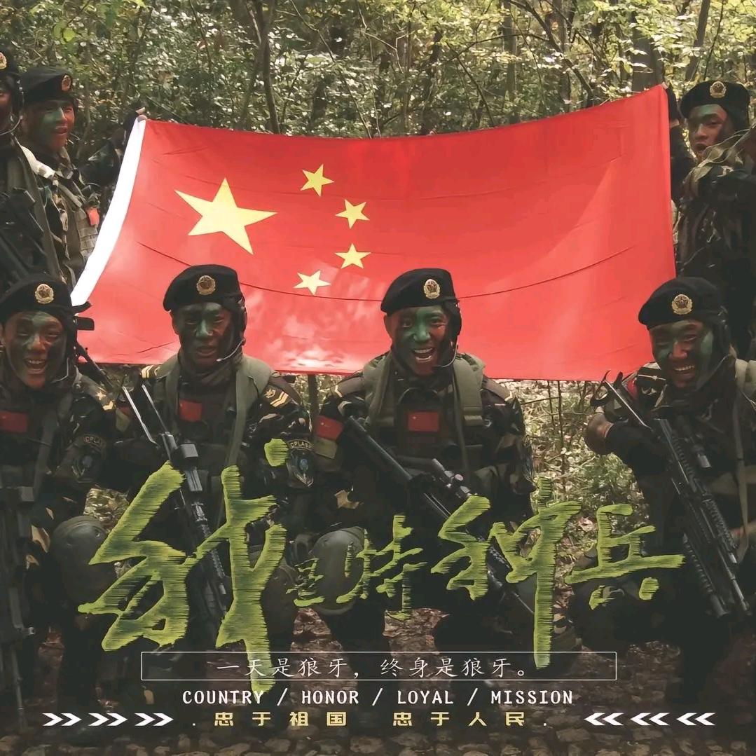 我是特种兵之火凤凰