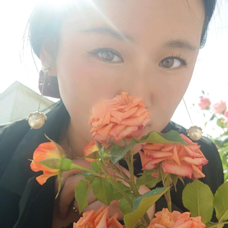 开舞台车的盘子