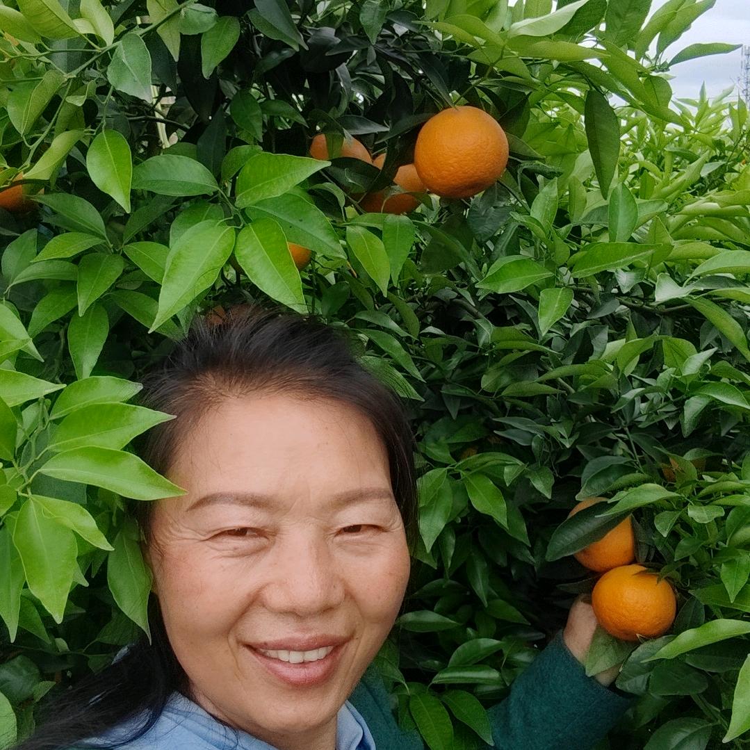 农村大姐