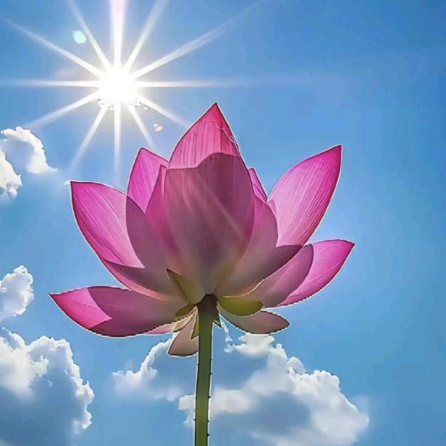 ꫀ ໌້ᮨ大知.闲闲💕