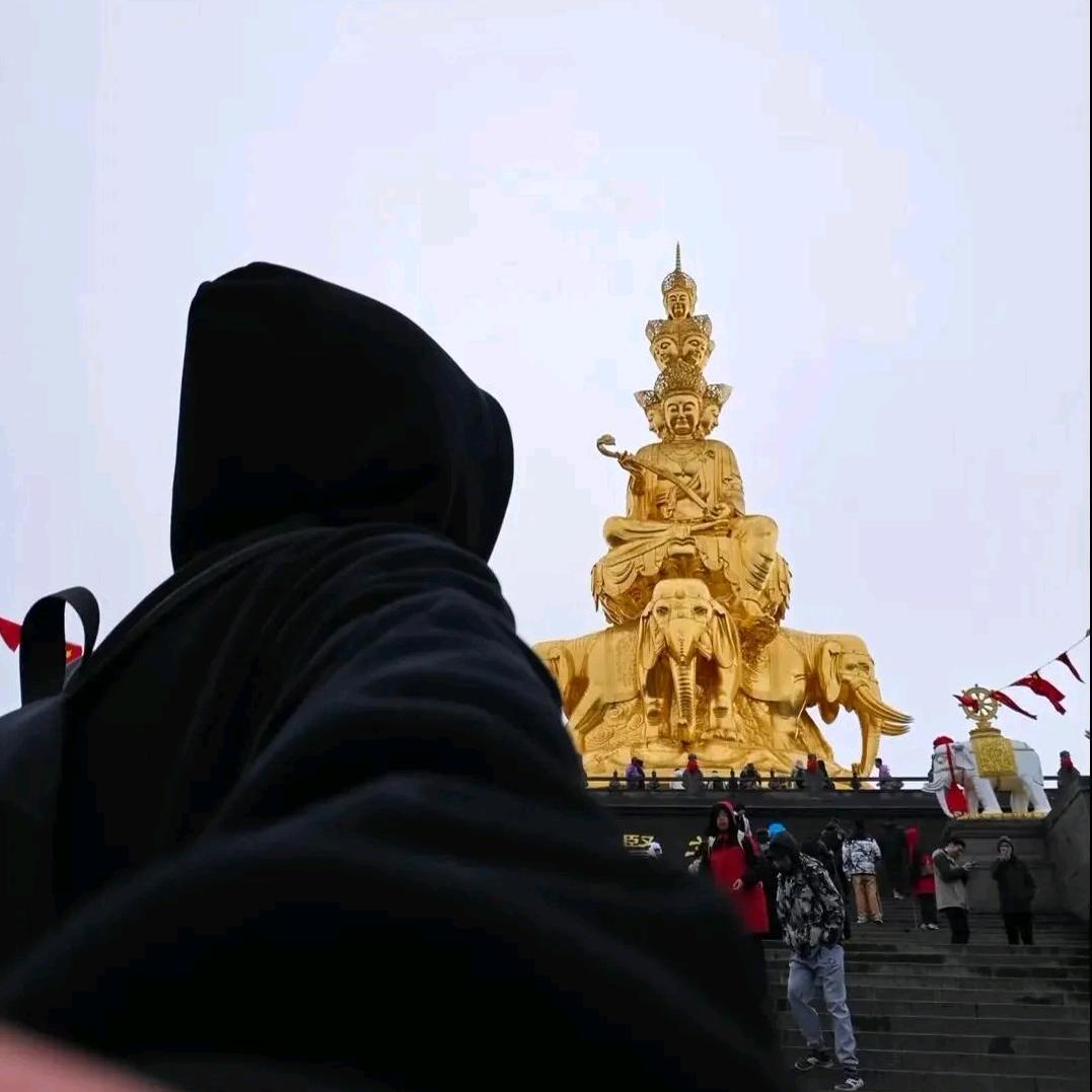 双城（连续点赞拉黑）