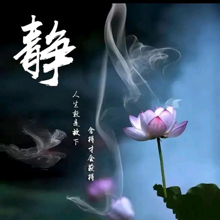 静思觉悟05