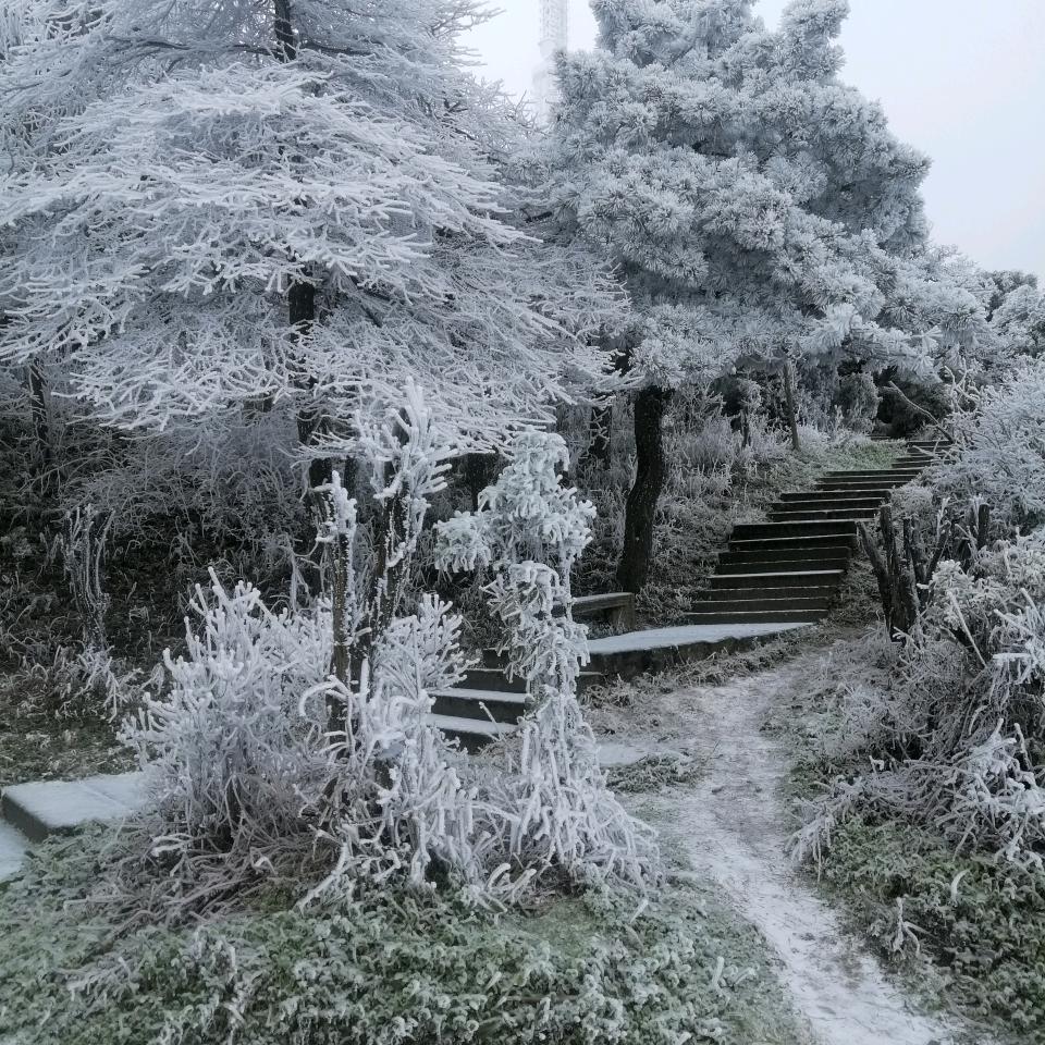 缘份