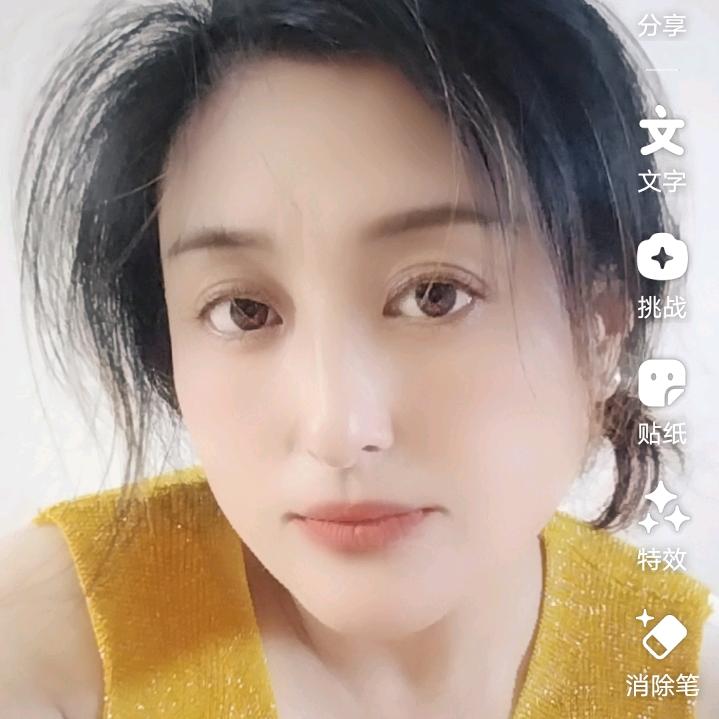 小菊