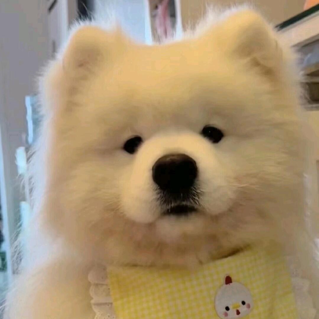 风吹过.