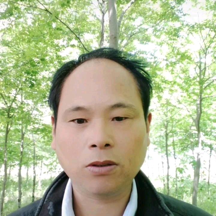 平哥