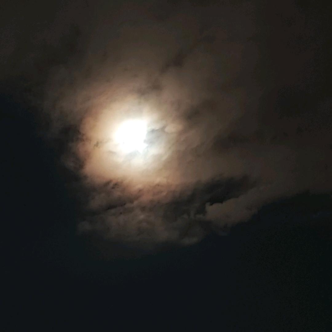 漂流无心