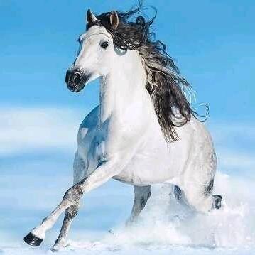 🔥云❤️玖玫🔥