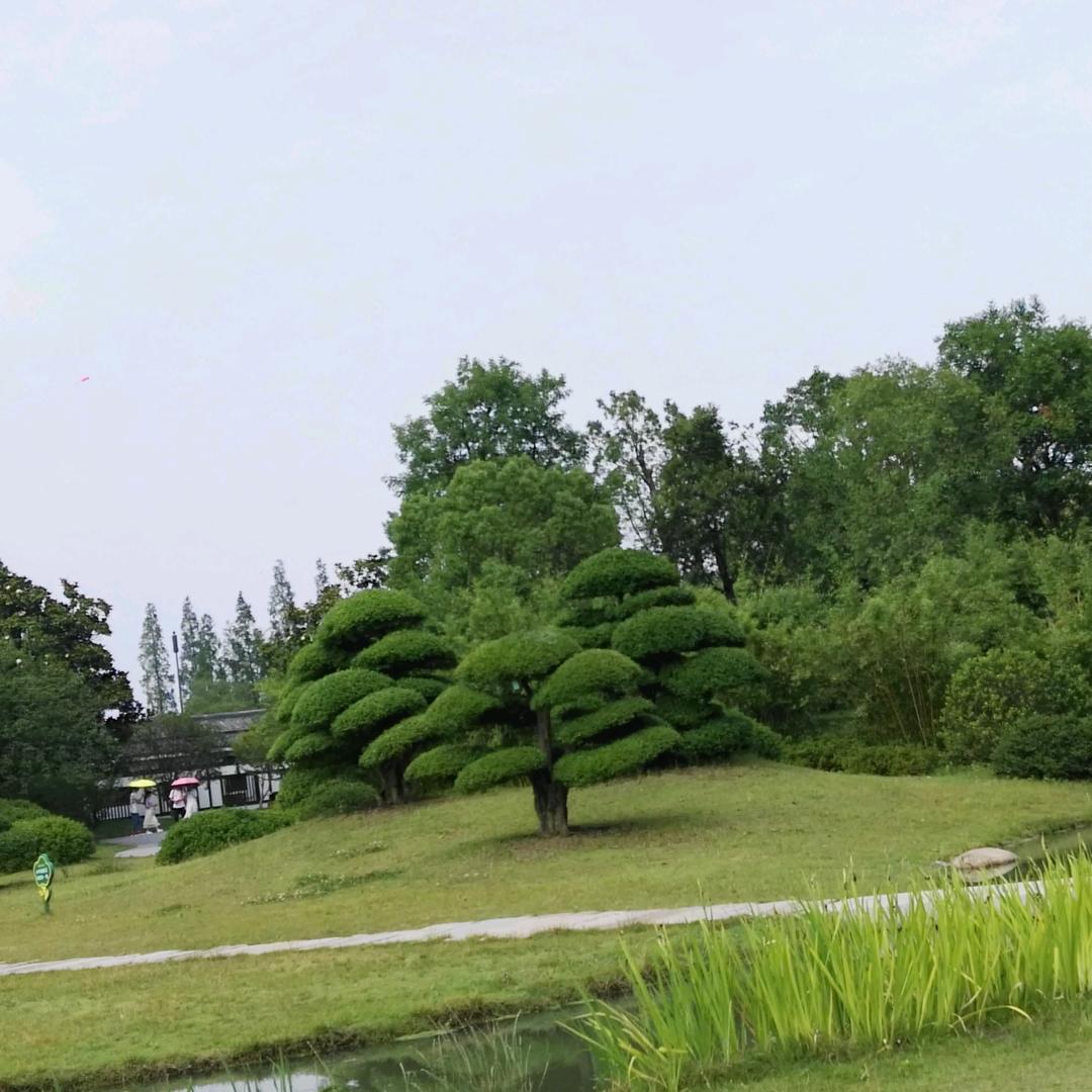 ✧*。٩(ˊωˋ*)و✧*。