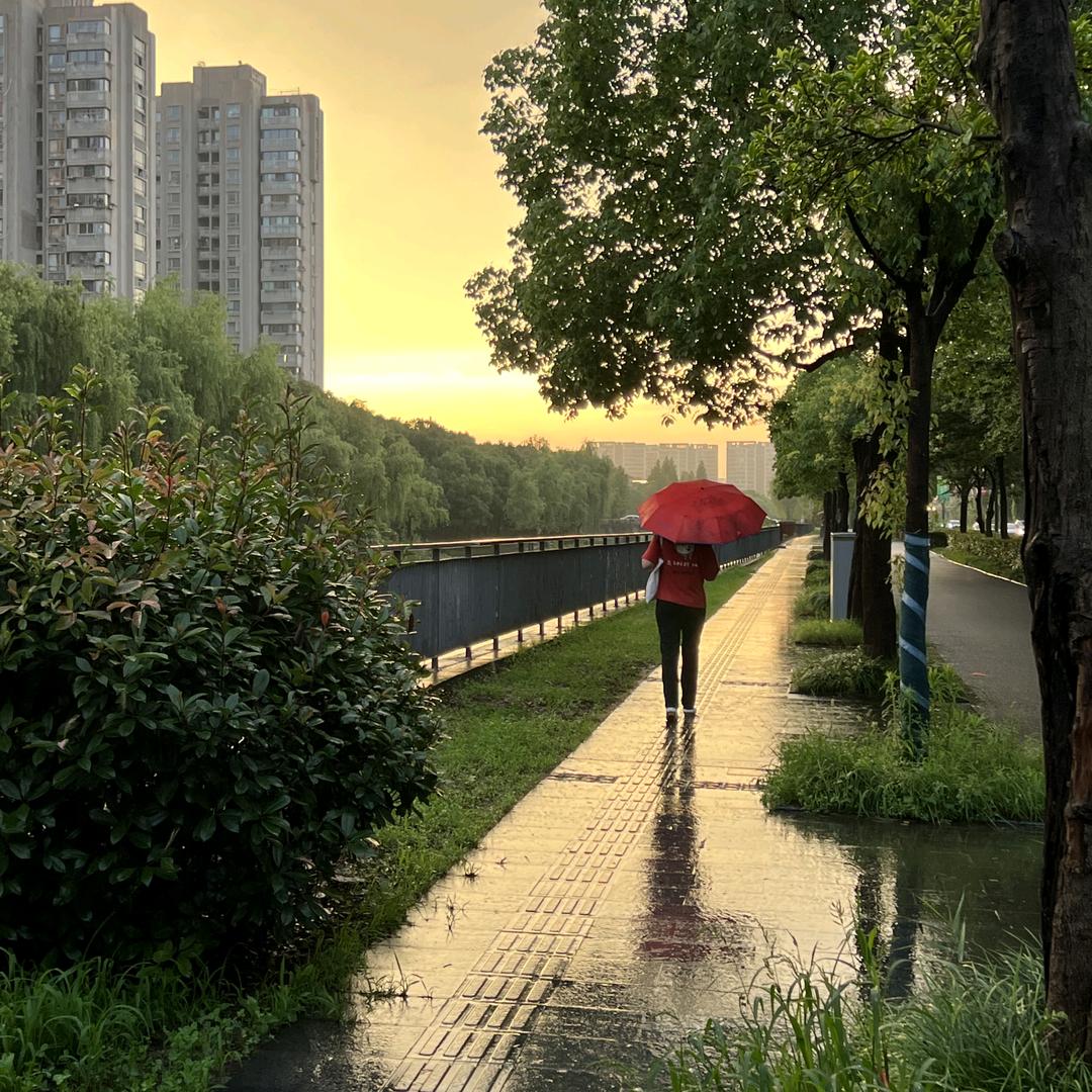 凤凰于飞
