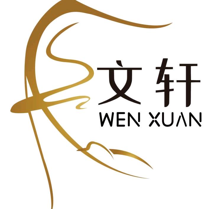 嵩县文轩艺术培训中心有限公司