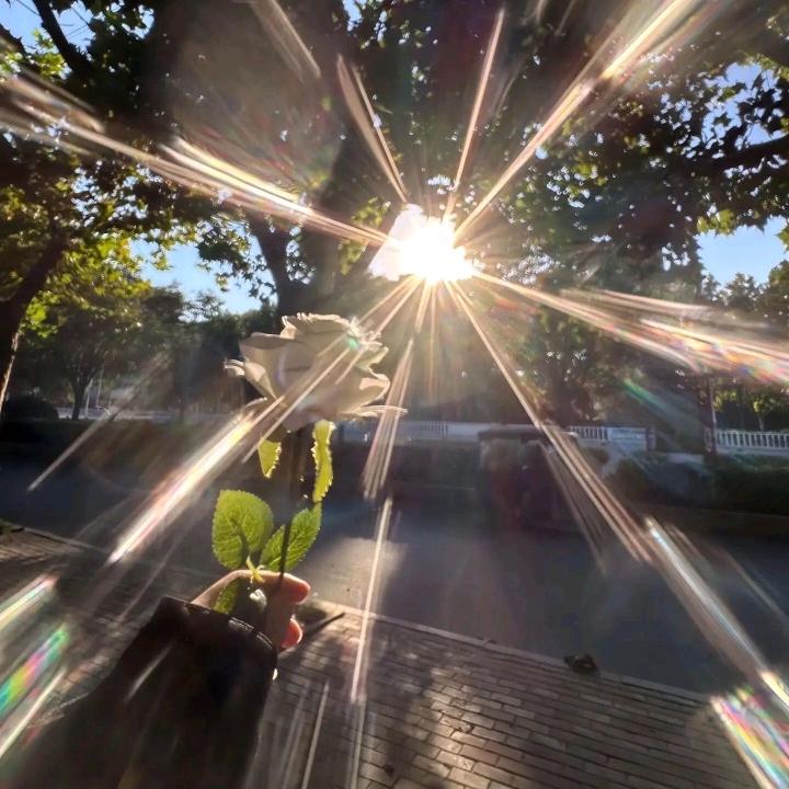 余   歌(封票版)