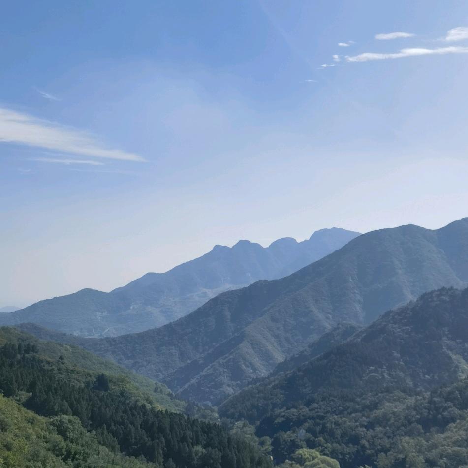 是小齐同学