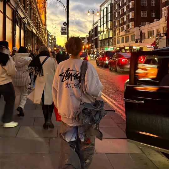 和我说话请投币˙Ⱉ˙ฅ