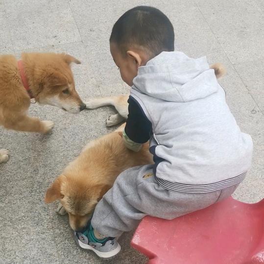🐕小土狗
