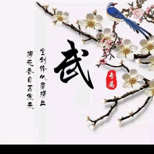 笨痴 (250)