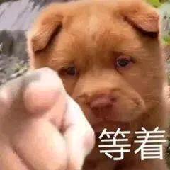 自律的太离谱