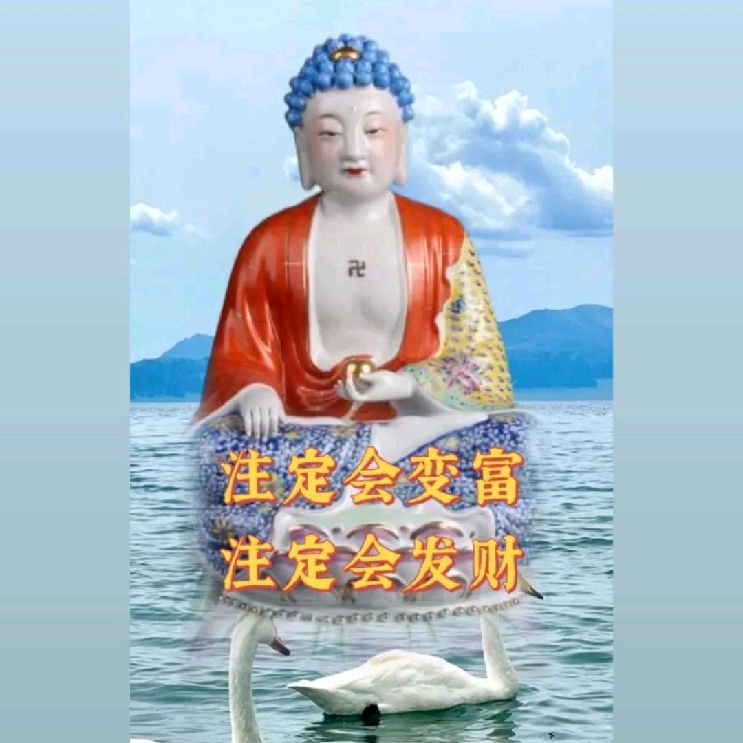 老永康